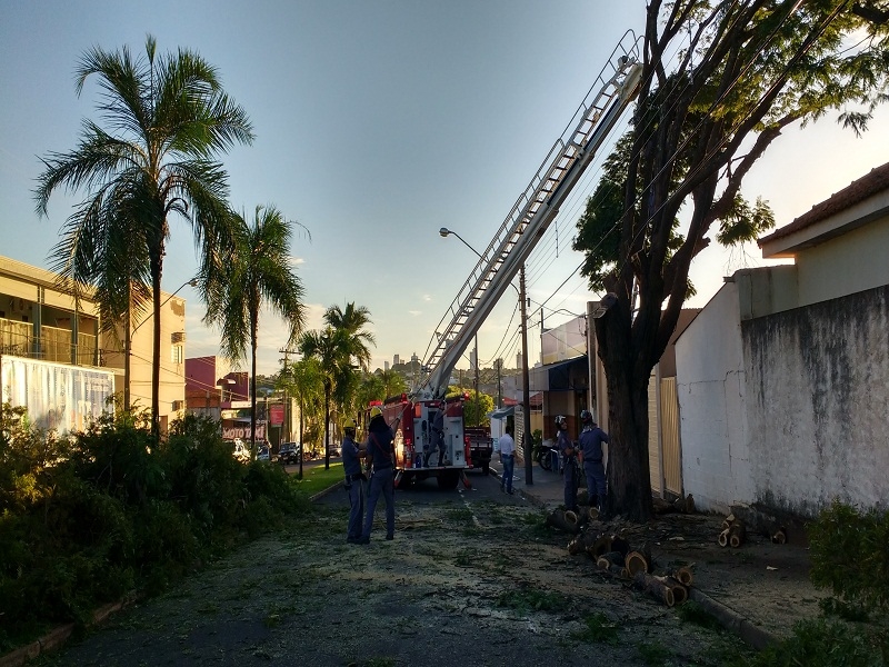 BOMBEIROS PARAM AVENIDA PARA CORTE DE ÁRVORE