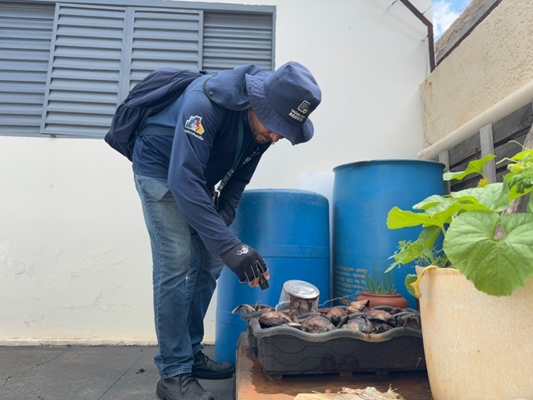 Equipes nas ruas no combate ao mosquito da Dengue