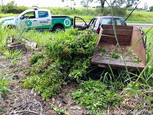 Atividade Delegada Ambiental flagra descarte irregular