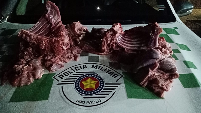Polícia Ambiental pega homens com carne de capivara