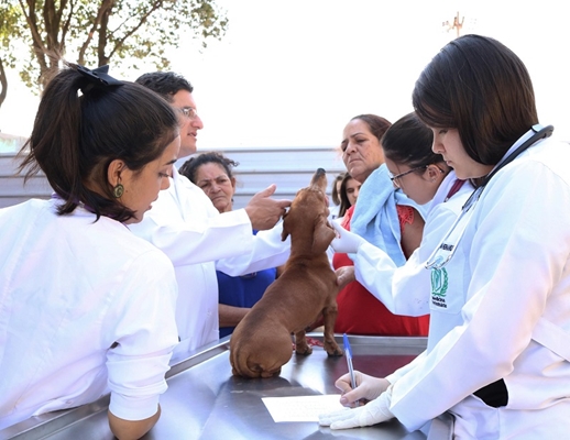 CURSO DE VETERINÁRIA LEVA ATENDIMENTO PRA BAIRRO DE VOTUPORANGA