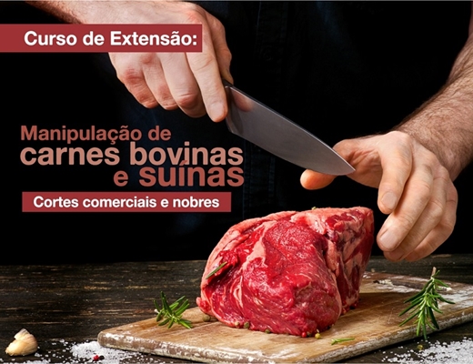 CURSO PRA APRENDER E MEXER COM CARNE 