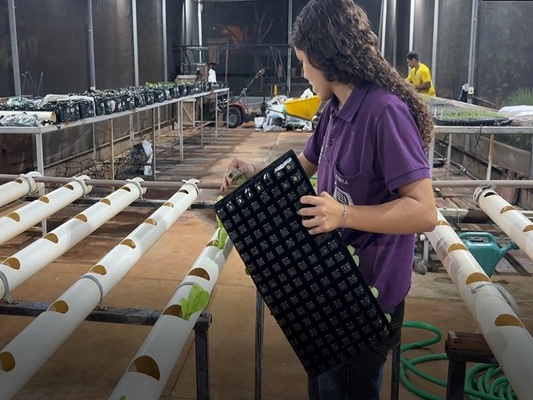 Projeto Unifev incentiva cultivo de hortaliças hidropônicas