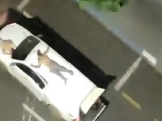 Bandidos levam reféns em cima de carro na fuga