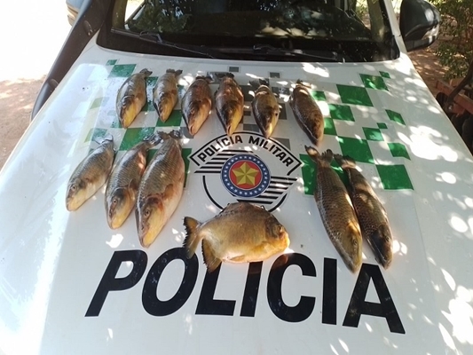 Pescador é multado por peixes 'fora da medida'