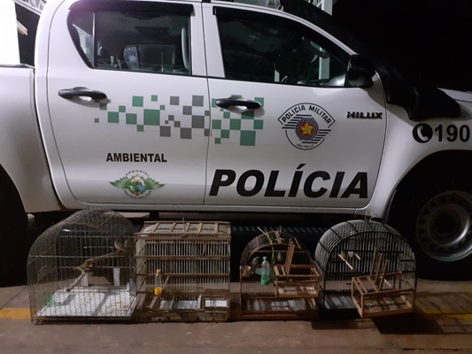 Morador de Riolândia flagrado por caçar pássaros