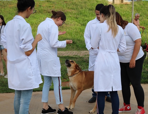 CURSO DE VETERINÁRIA NO INTERACÃO