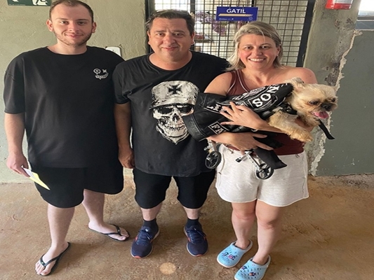 Feira de adoção encontra novos lares para 15 cães e gatos em Votuporanga