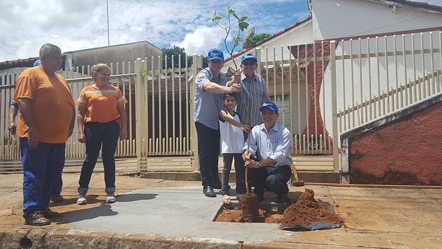 Disque Árvore faz sucesso em Votuporanga