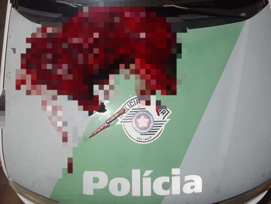 Homens transportavam capivara abatida 
