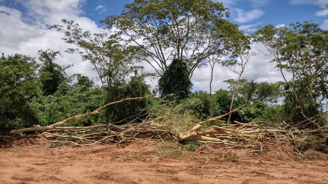 Polícia Ambiental multa dono e embarga área devastada