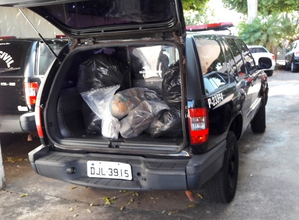 DISE DESTRÓI 38 KG DE DROGAS 