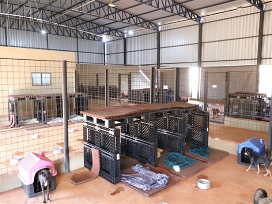 Centro de Proteção da Vida Animal de Votuporanga