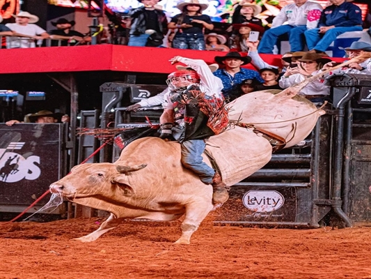 Foto - jw foto arena