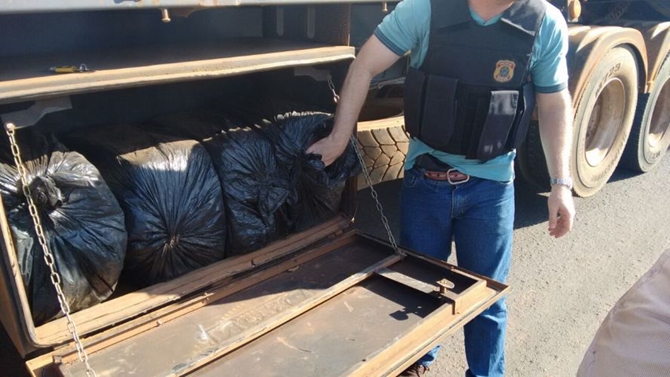 Polícia Federal de Jales pega carregamento de cocaína de R$2,5 milhões em caminhão