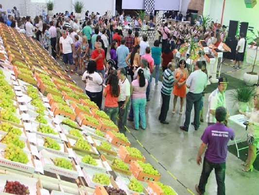 FESTA DA UVA E DO MEL É ATRAÇÃO REGIONAL