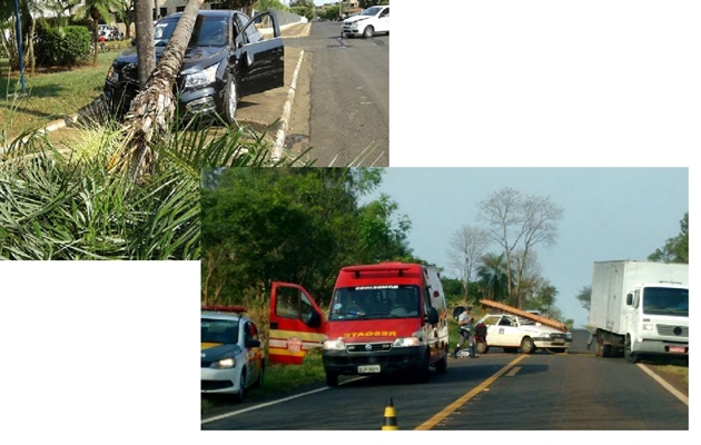 Um carro capota em rodovia e outro derruba árvore na região