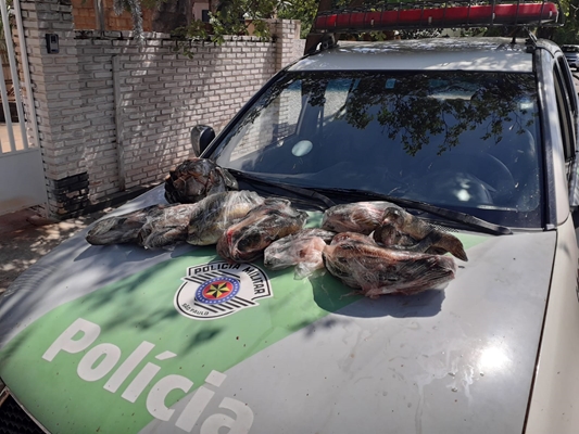 Polícia Ambiental faz operação e pega armas e carne irregulares