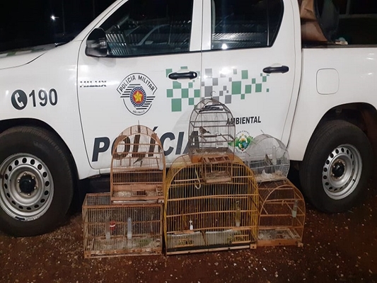 Polícia Ambiental flagra homem que capturava pássaros