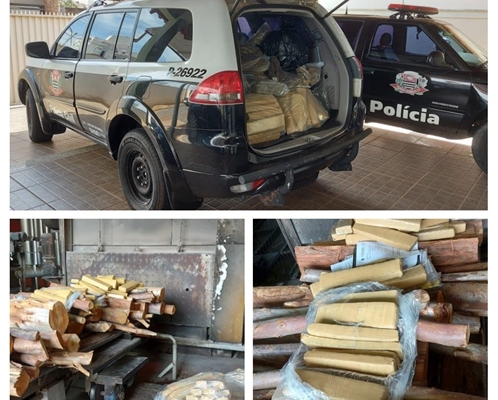 DISE destrói mais de 210 kg de drogas
