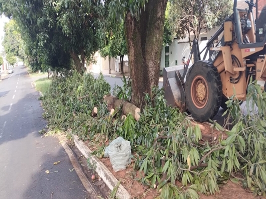 Prefeitura reforça zeladoria e segurança após chuvas 