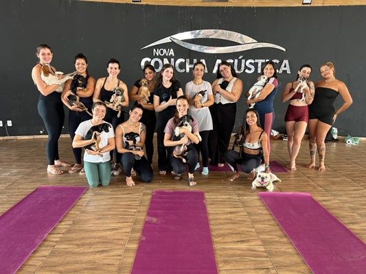 Feira de Adoção e Pet Yoga da Secretaria de Bem-Estar Animal