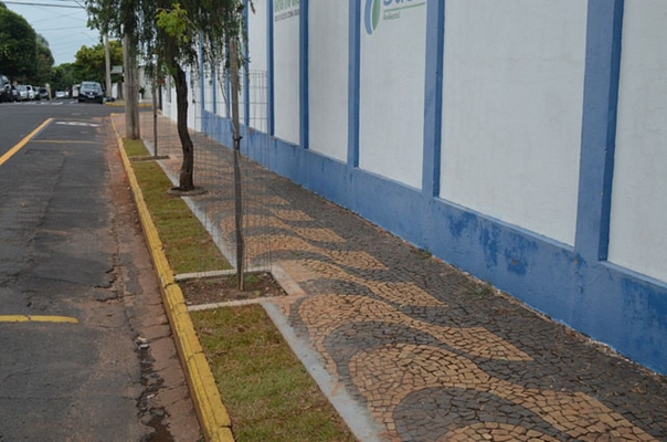 Saev Ambiental transforma calçada em ecológica 