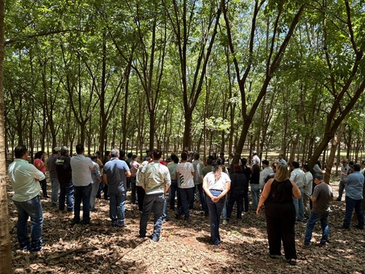 Encontro de seringueiros reúne 41 cidades em Votuporanga