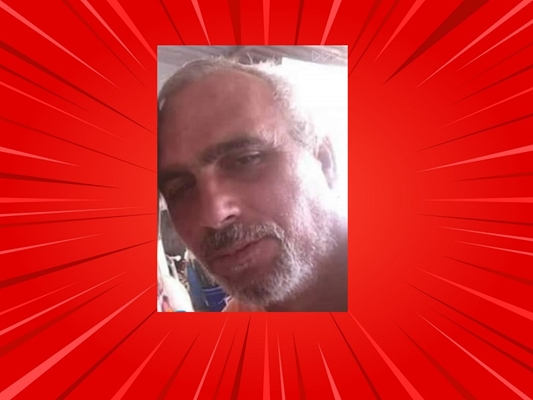 Homem em estado grave após ataque de abelhas 