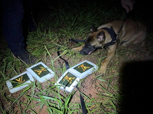 DISE prende morador que enterrava droga em quintal