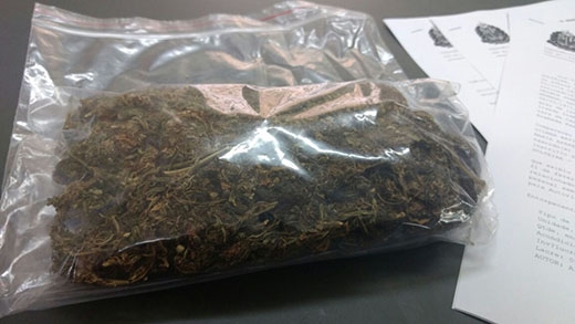 Morador da região recebe droga pelo correio e família denuncia 