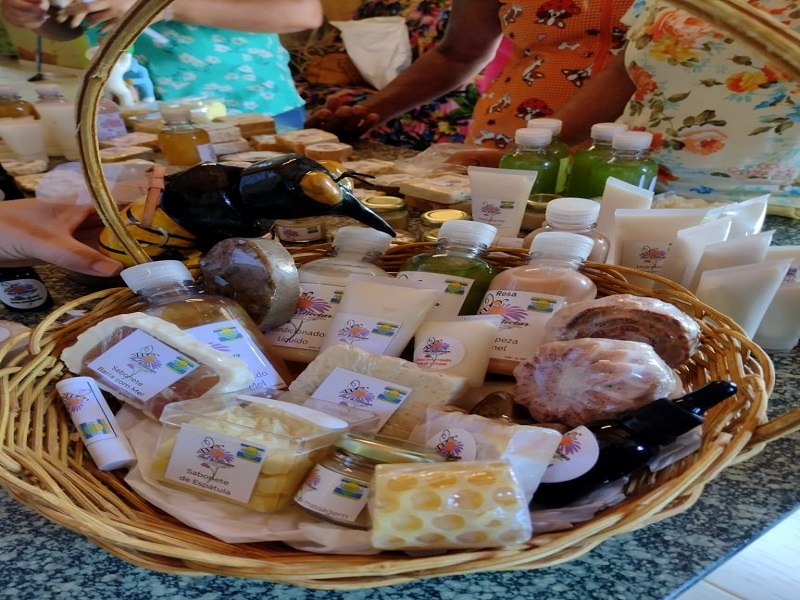 Cosméticos base de mel, própolis e cera de abelha 
