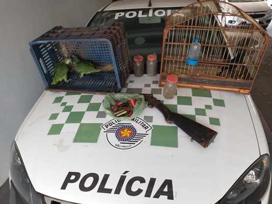 Homem tinha arma e aves silvestres em sítio