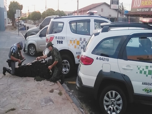 Polícia Ambiental e Rodoviária prendem traficante com 94 kg de droga