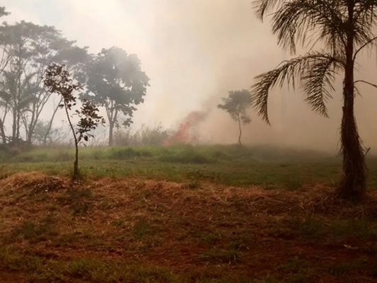 Fogo destrói mais de 10 alqueires de vegetação em Votuporanga 