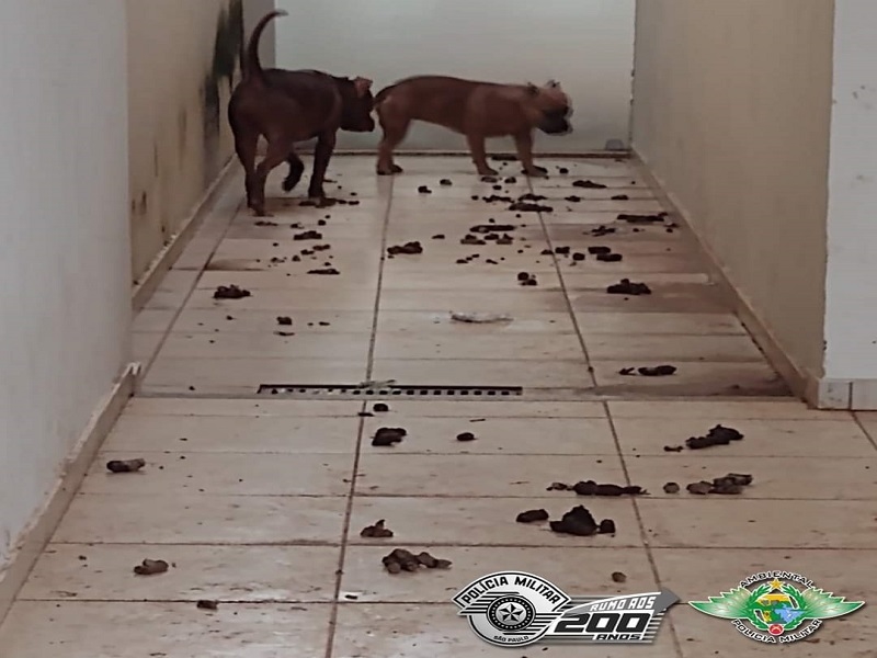 (Foto- Polícia Ambiental)