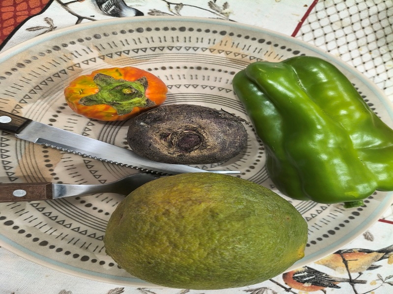 Prefira alimentos saudáveis 