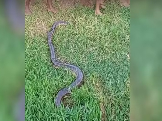 (Reprodução TVTEM/G1)