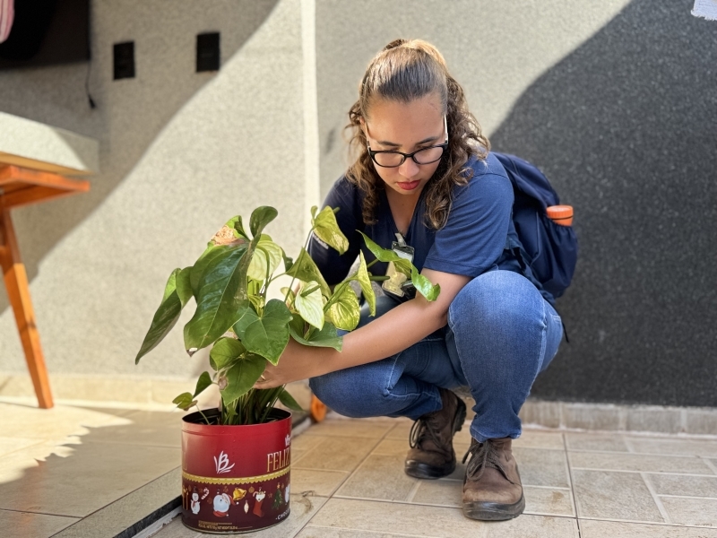 Mutirão contra a dengue mobiliza equipes no bairro Vila Paes