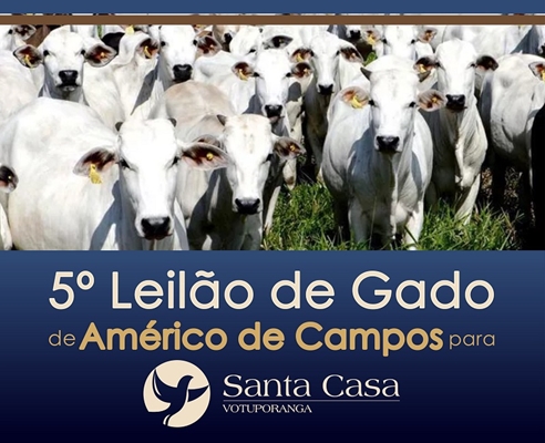 AMÉRICO DE CAMPOS FAZ LEILÃO DE GADO PRA SANTA CASA