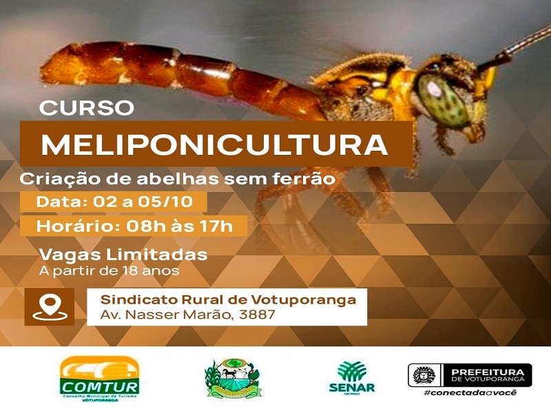 Curso de criação de abelha sem ferrão em Votuporanga