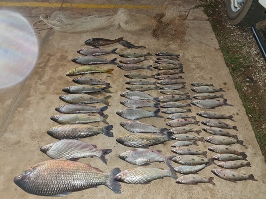 Pescadores são flagrados passando tarrafa no S. José