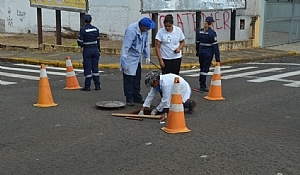 SAEV mata pragas em 967 pontos 