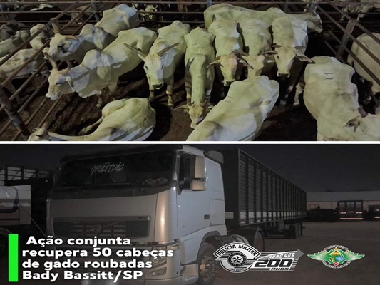 Caminhão interceptado levaria animais para Bady Bassitt