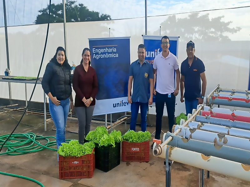 Verduras produzida na Unifev reforçam refeições na Santa Casa de Votuporanga