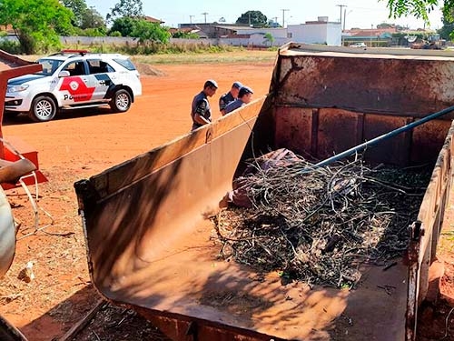 Casal de adolescentes faz sexo em caçamba e polícia é chamada 