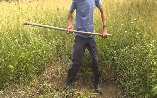 MULTA PRA DONO DE TERRENO SUJO A PARTIR DO DIA 1º