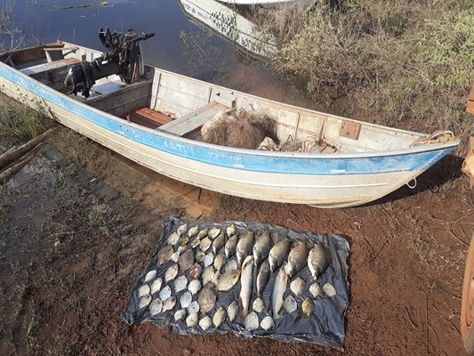 Pescadores pegam 26 kg de peixes com redes 