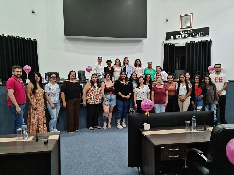 Conselho da Mulher debate Lei Maria da Penha
