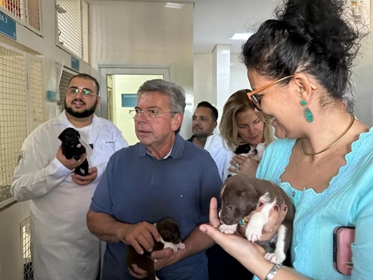 Fundo Estadual para o Bem-Estar Animal é aprovado em comissões da ALESP